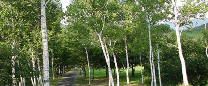 太平山リゾート公園 秋田県