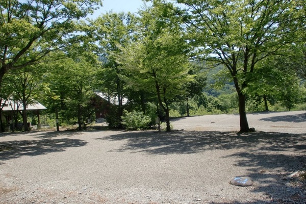 白い森オートキャンプ場 山形県