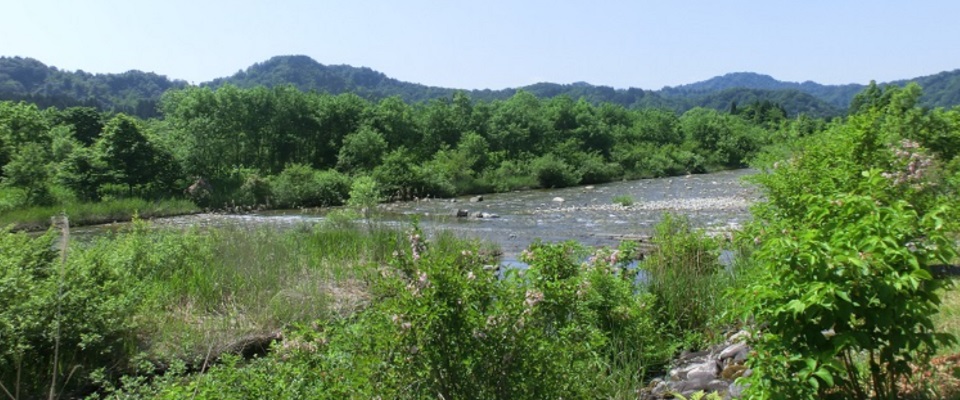 白い森オートキャンプ場 山形県