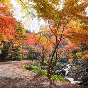 くらがり渓谷キャンプセンター 愛知県