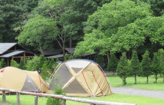 くるみの森キャンプ場　サイト