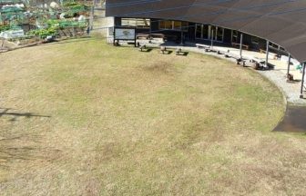 ひだまりの里オートキャンプ場　サイト