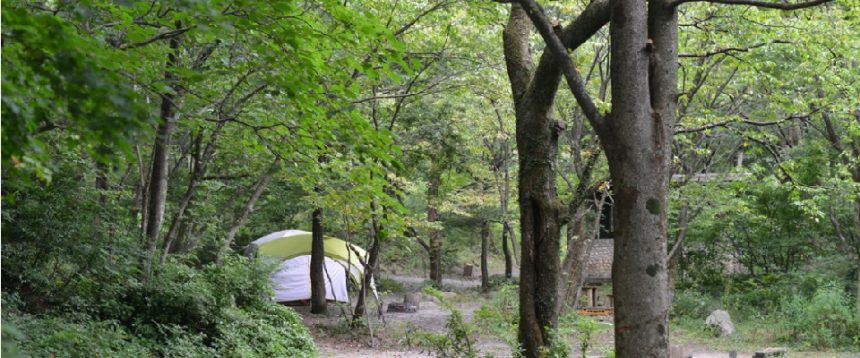五頭山麓いこいの森　サイト