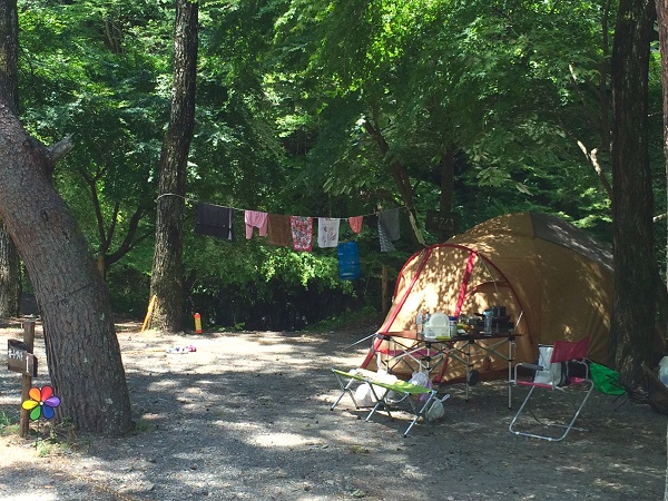 ほうれんぼうの森キャンプ場 動画あり 山梨県