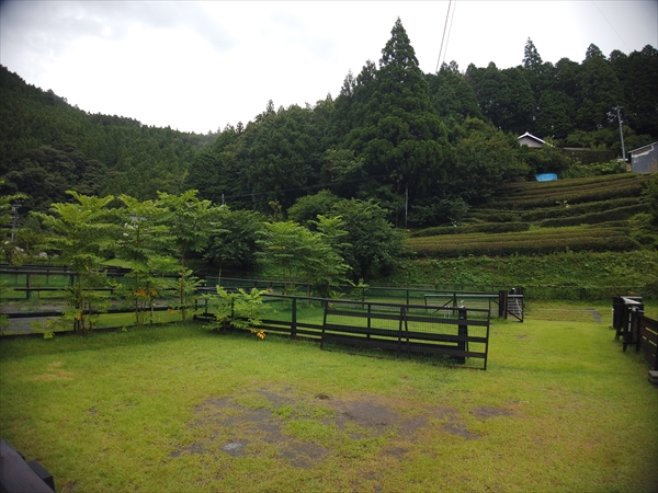 はるの川音の郷オートキャンプ場 静岡県 キャンプイズムフィールド Campismfield