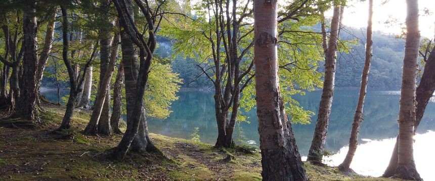 菅沼キャンプ村 動画あり 群馬県