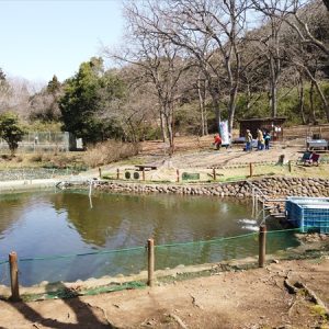 城里町総合野外活動センター ふれあいの里 茨城県 キャンプイズムフィールド Campismfield