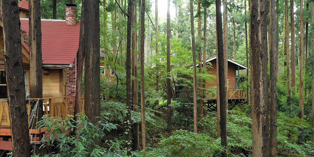 Acnサンタヒルズ インタビューvol 1 栃木県 キャンプイズムフィールド Campismfield