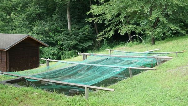 上毛高原キャンプグランド21