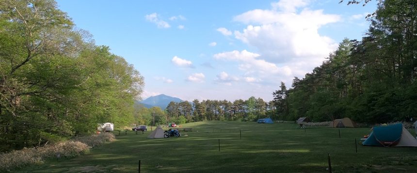 新栄清里キャンプ場 フリーサイト