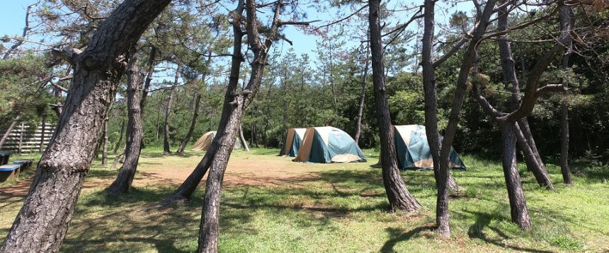 大潟キャンプ場　常設テント