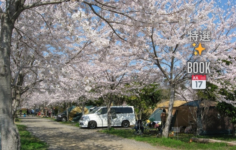 イレブンオートキャンプパーク