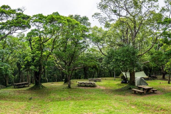 乙羽岳森林公園
