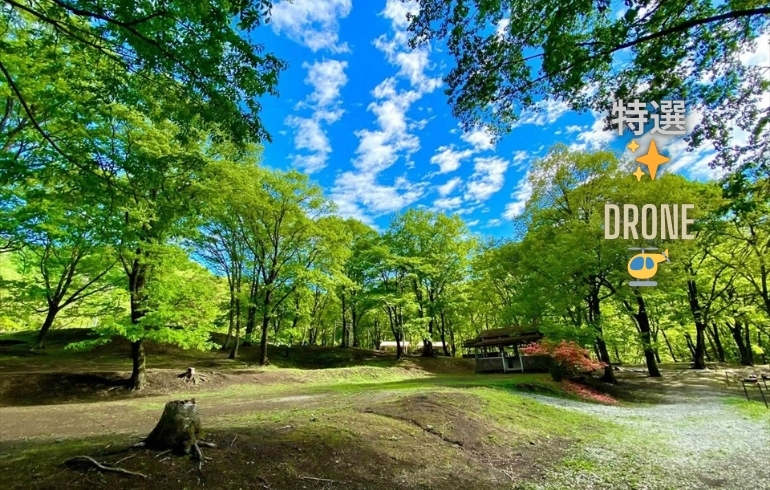 八風平キャンプ場