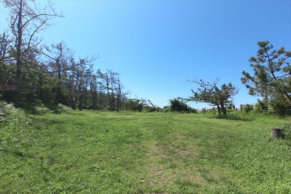 大潟キャンプ場