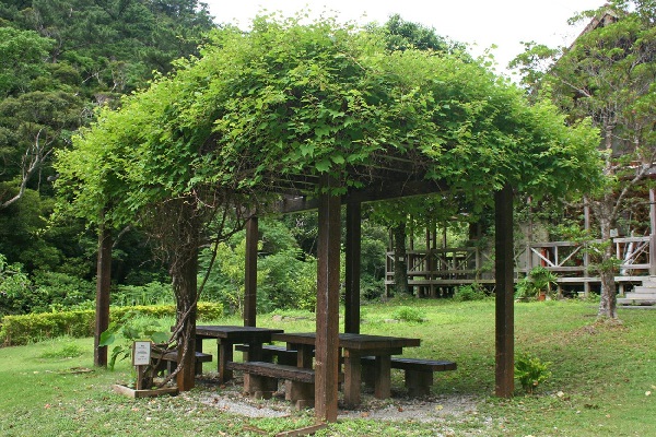 比地大滝キャンプ場