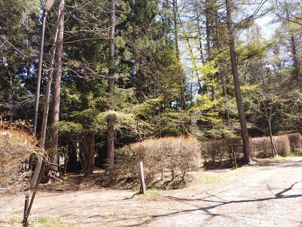 皇海山キャンプフォレスト