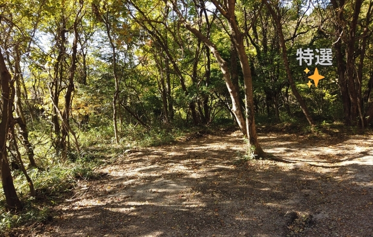 那須高原ITAMUROキャンプ場