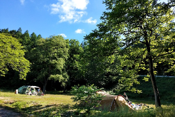 利賀国際キャンプ場