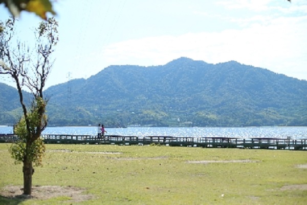 休暇村大久野島キャンプ場