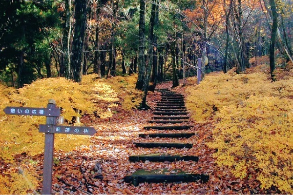 立山グリーンパーク吉峰