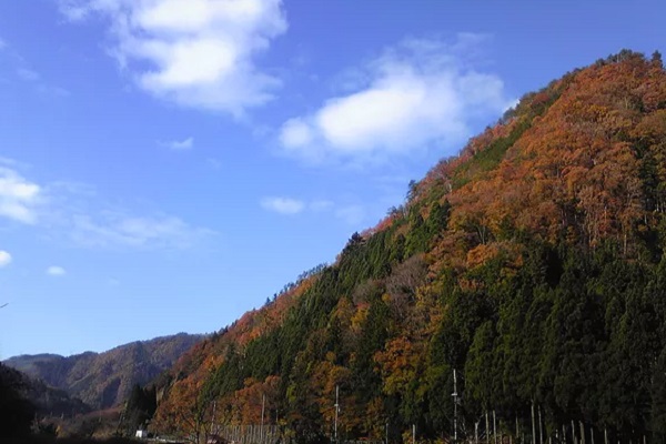 美山くるみの森キャンプ場