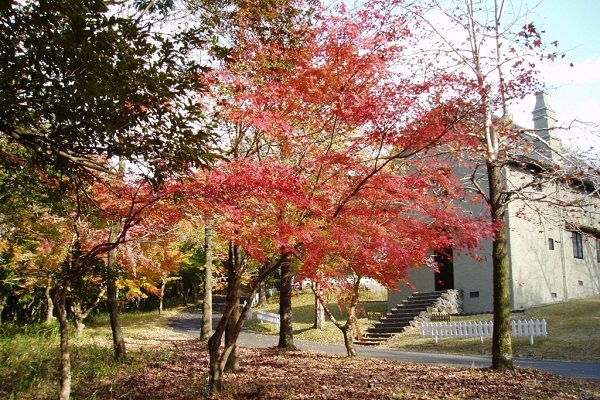 霧島高原国民休養地