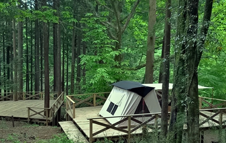 足柄森林公園　丸太の森