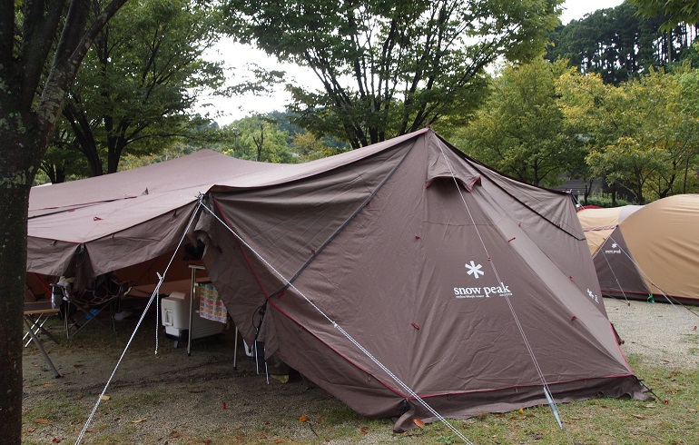 【早期落札希望】スノーピーク(snow peak) ランドステーションM TP-800 ポール&Y字付き 新品 スノーピーク ランドステーションM  ランドステーションM