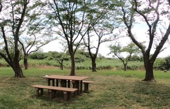 南の池公園キャンプ場