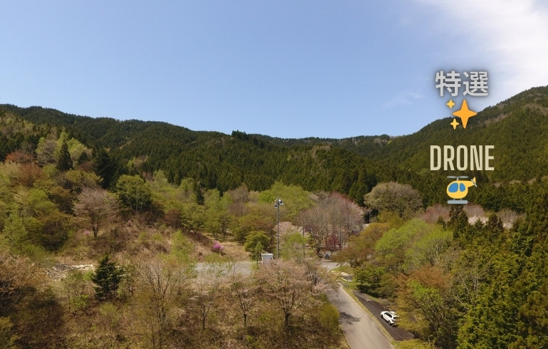 CAMP屋うるぎキャンプフィールド