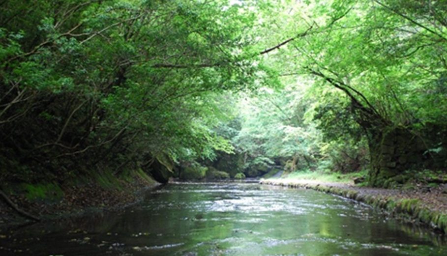 岳切渓谷キャンプ場