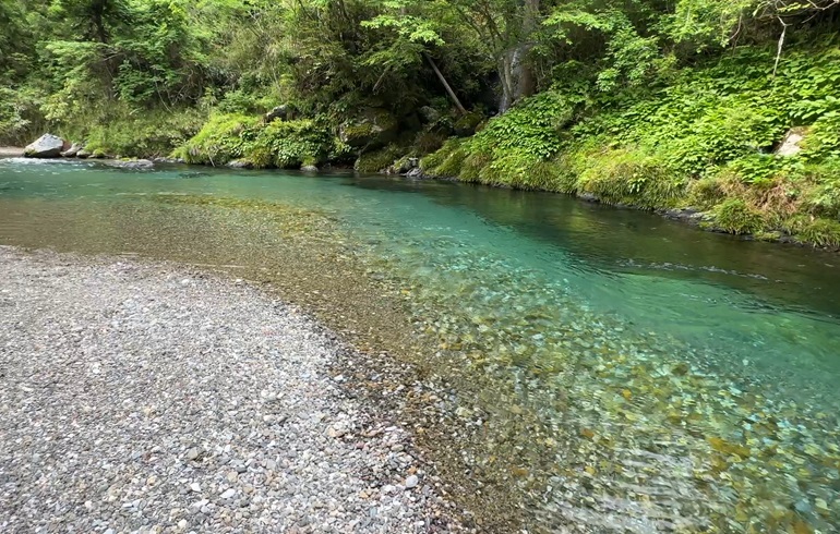 川遊びができるキャンプ場