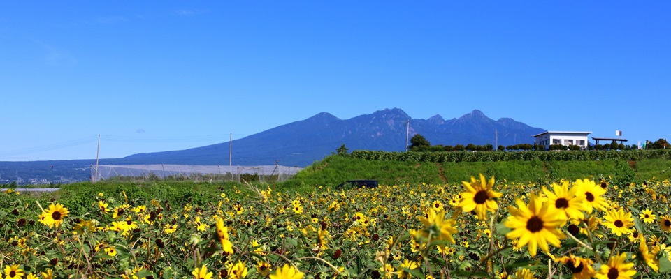 八ヶ岳