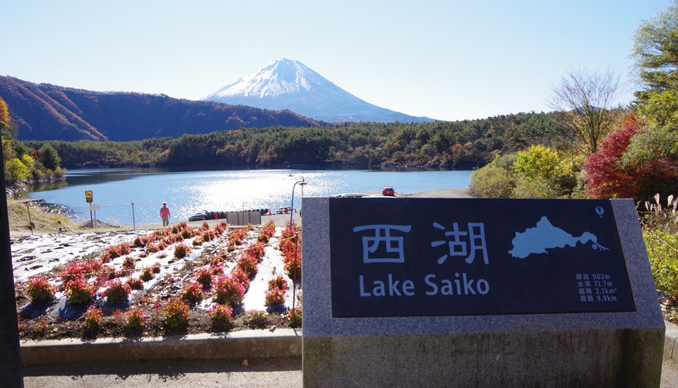 西湖根場浜