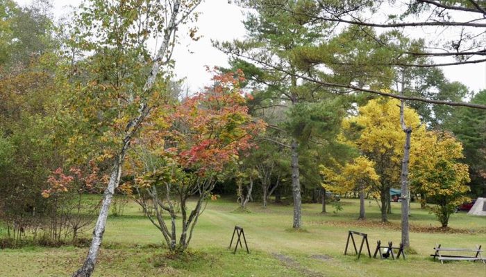 be 北軽井沢キャンプフィールド