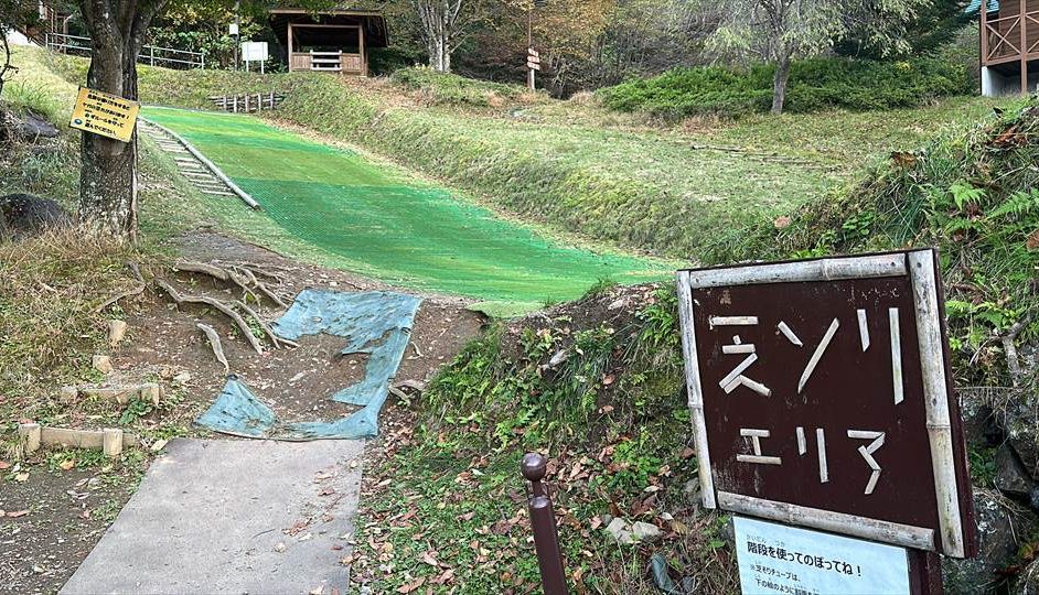 まほーばの森