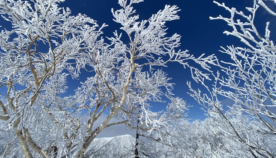 雪景色