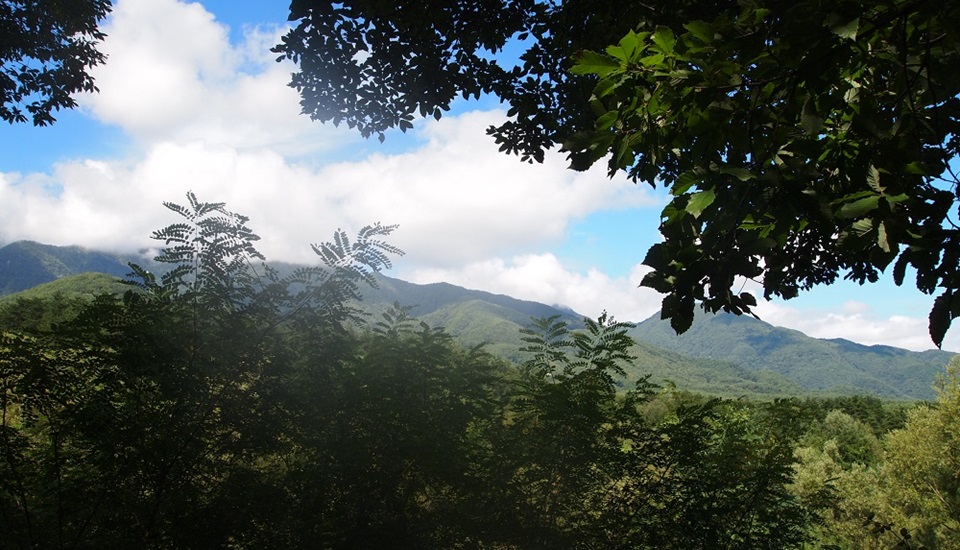 三景園オートキャンプ場