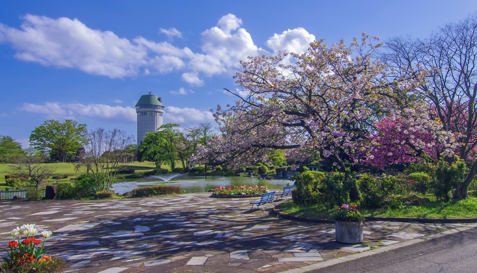 那須野が原公園