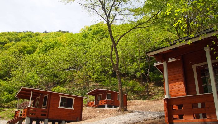 Forestersvillagekobitto