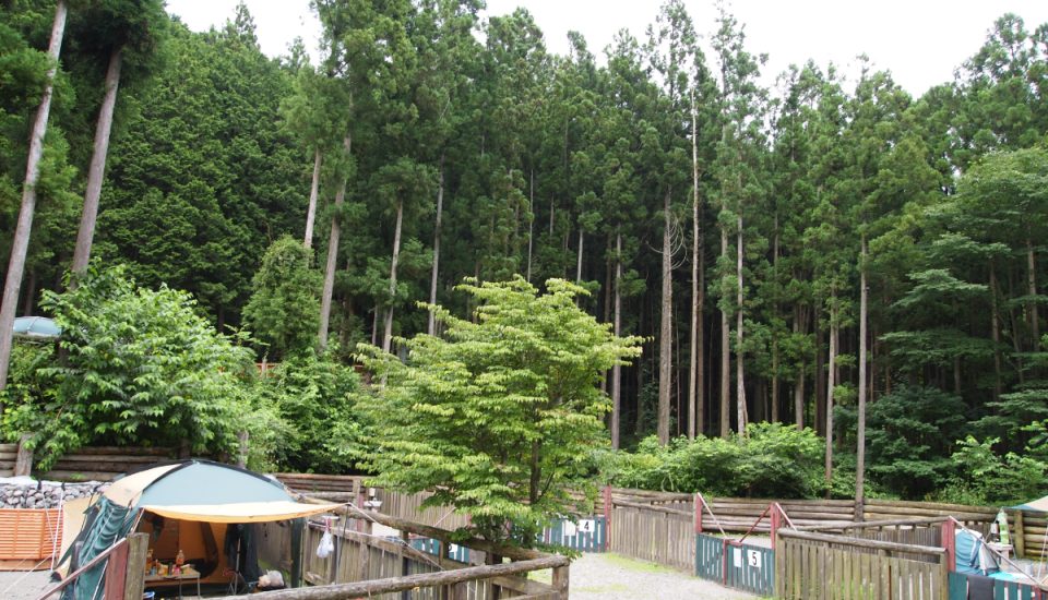 オーキャン宝島サイト