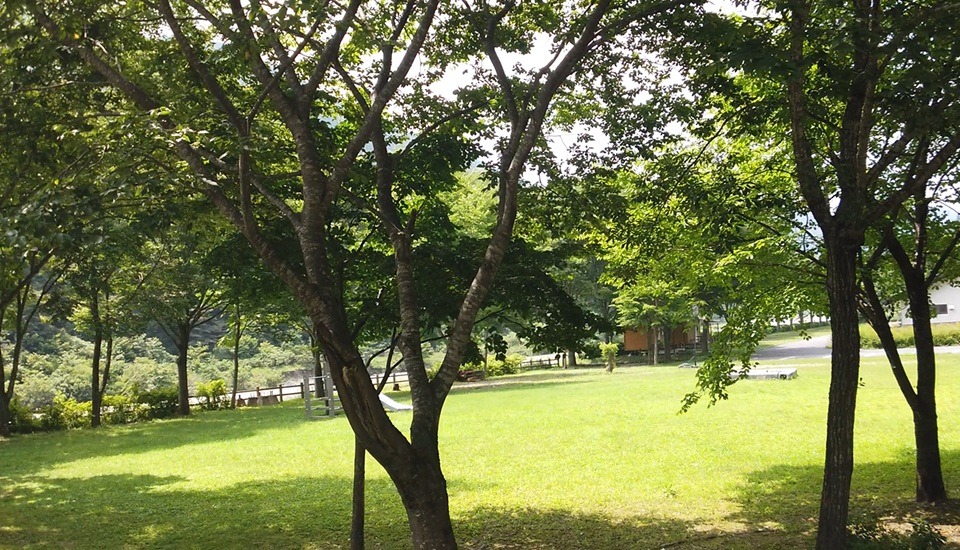 NEOキャンピングパーク