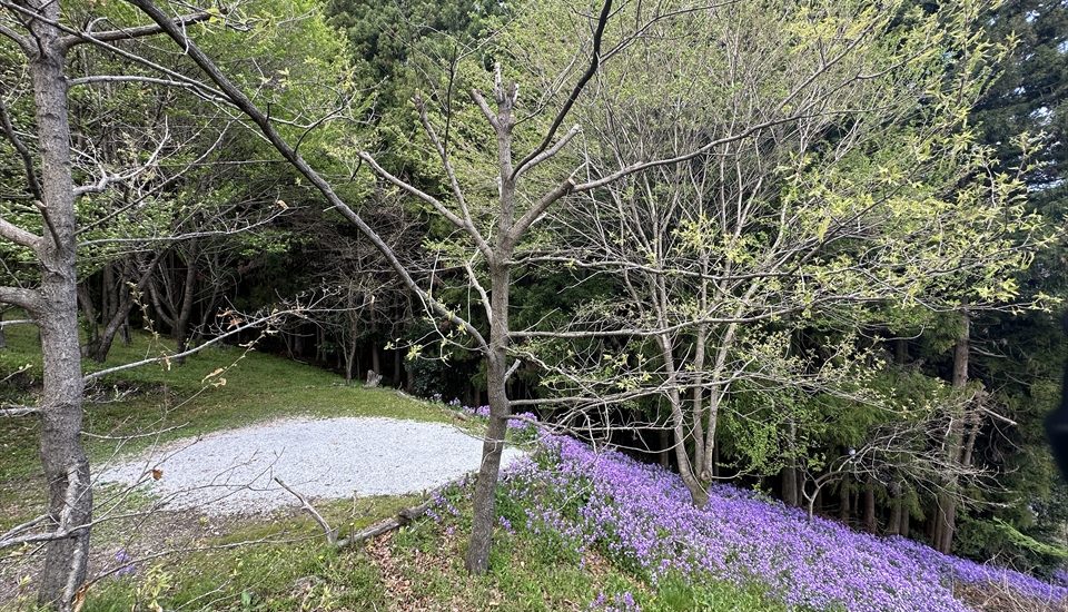 くりの木キャンプ場