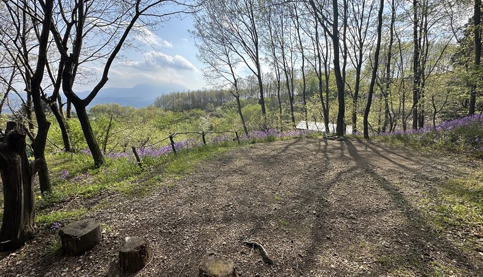 くりの木キャンプ場