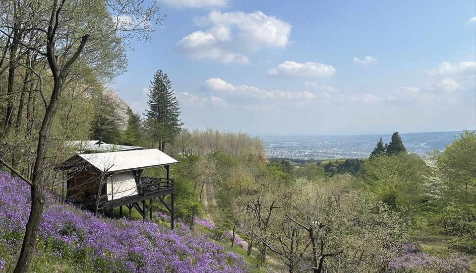 くりの木キャンプ場