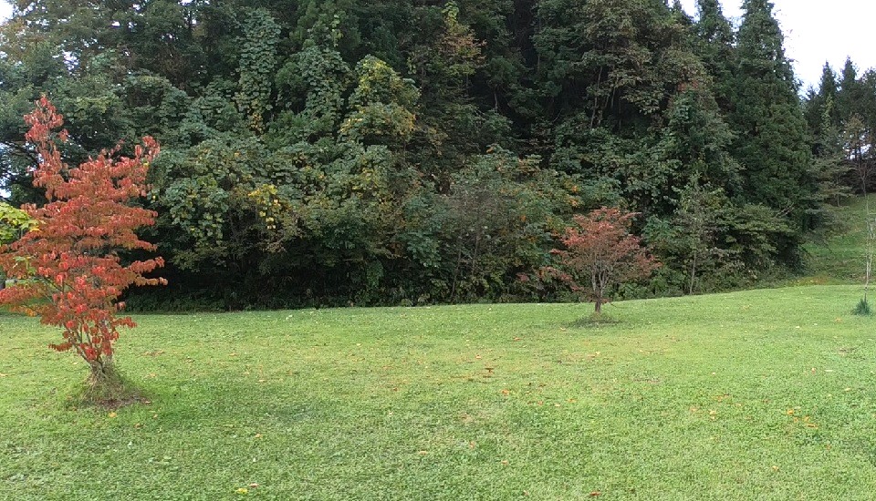 小柳沢砂防公園