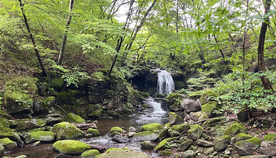 県民の森