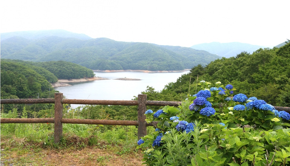 羽鳥湖