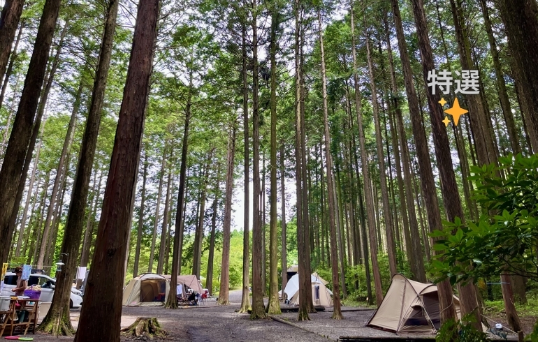 西富士オートキャンプ場